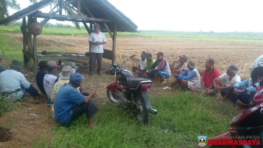 DISTAN GIRING PETANI MENANAM JAGUNG